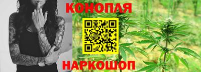 PSILOCYBIN Краснодар