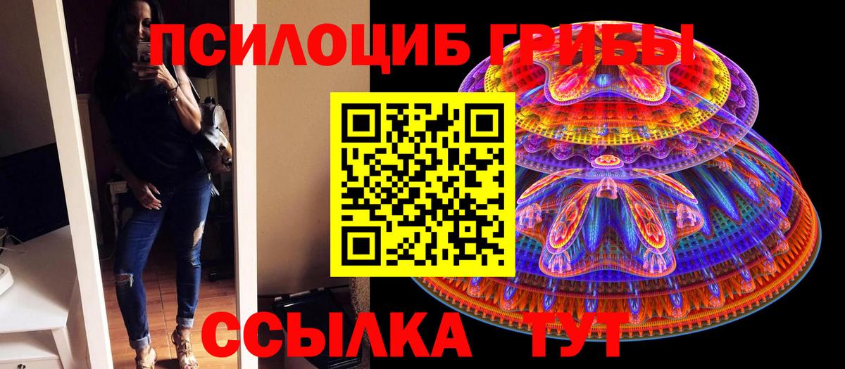 Галлюциногенные грибы Psilocybine cubensis Волжск