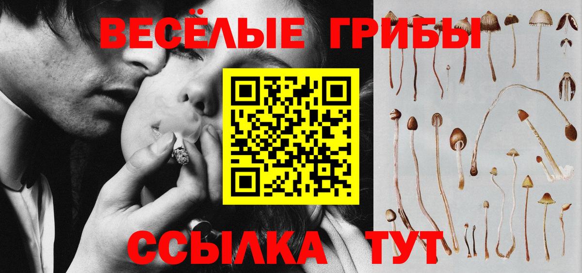 Псилоцибиновые грибы прущие грибы  где можно купить   Галлюциногенные грибы мухоморы  Волжск  Вход с VPN 