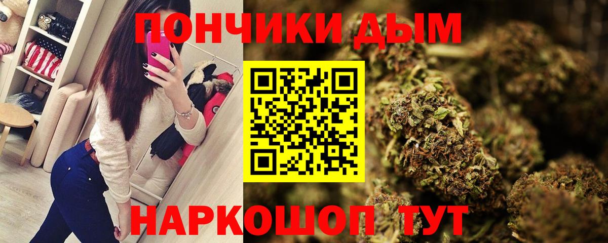 Бошки марихуана сатива Волжск
